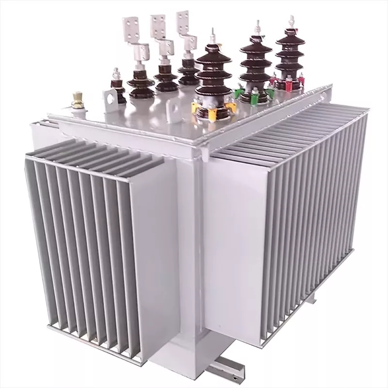 Korkeataajuus kolmivaiheinen 1000 kVA öljy lmmersed Transformer